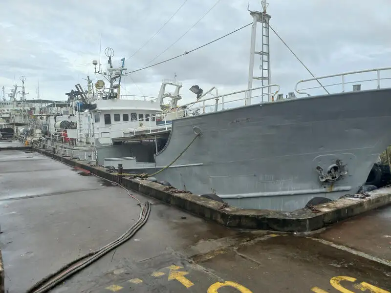 Kapal garis panjang pikeun dijual