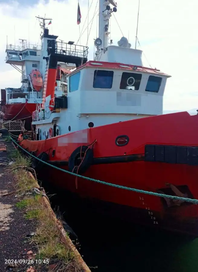 Tow boat pikeun dijual