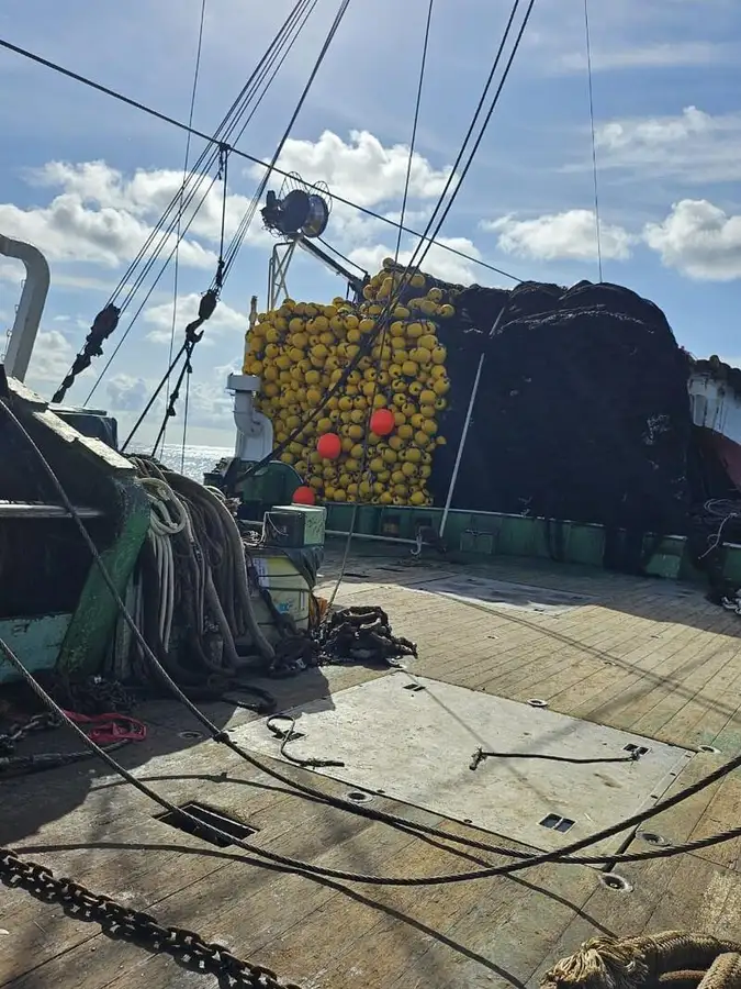 seiner pikeun dijual