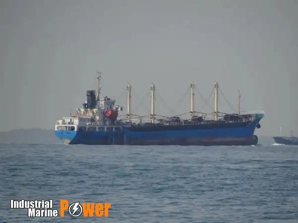 Pamawa bulk pikeun dijual