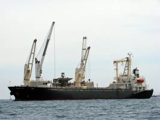 Bulk carrier for sale