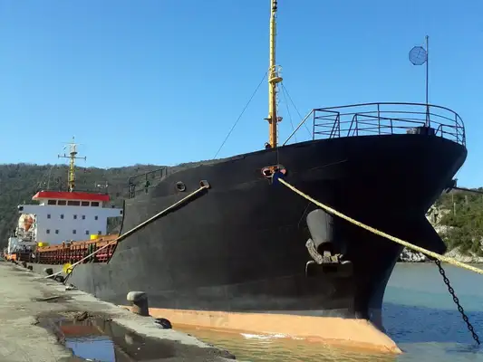 Bulk carrier for sale