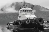 Tow boat pikeun dijual
