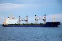 Pamawa bulk pikeun dijual