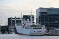 Fishing Trawler pikeun dijual