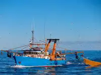 Fishing Trawler pikeun dijual