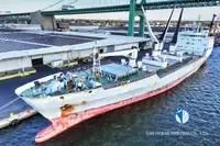 Reefer kapal pikeun dijual
