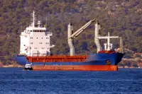 Pamawa bulk pikeun dijual