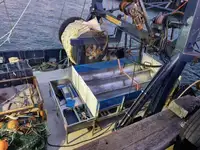Beurat logam pikeun dijual