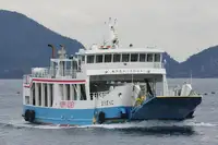 kapal RORO pikeun dijual