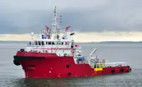 Tow boat pikeun dijual