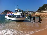 Sajongjongan teuleum pikeun dijual