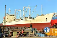 Reefer kapal pikeun dijual