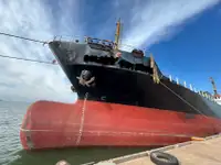 Pamawa bulk pikeun dijual