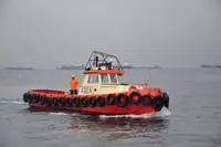 Tow boat pikeun dijual