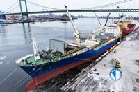Reefer kapal pikeun dijual