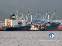 Reefer kapal pikeun dijual