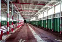 kapal RORO pikeun dijual